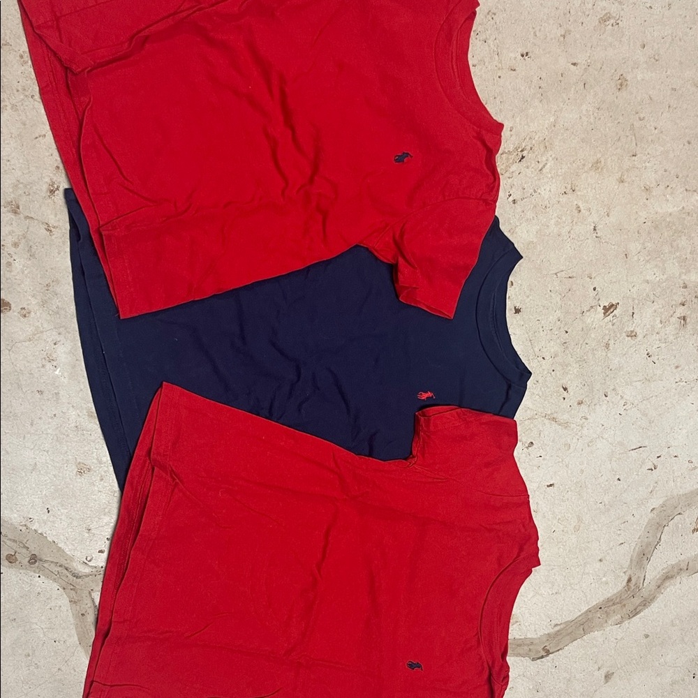 Bundle of Polo by Ralph Lauren Kids Red and Navy Tees